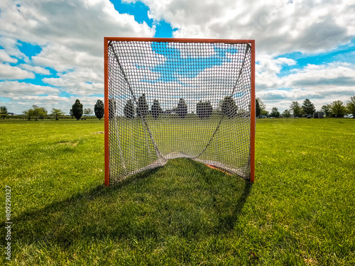 Принти на полотні Sports Net in a Grassy Green Field