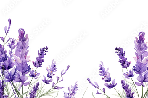 PNG Lavender blossom backgrounds flower purple