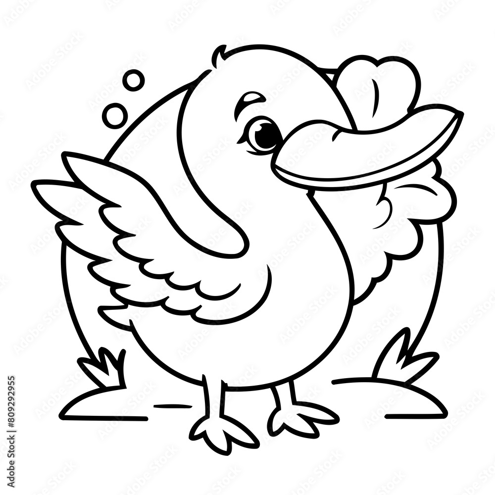 Simple vector illustration of Pelican drawing for kids page Simple vector illustration of Pelican drawing for kids page