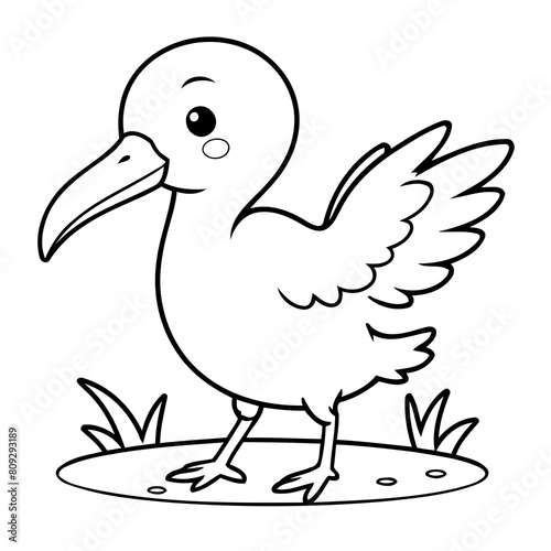 Vector illustration of a cute Ibis drawing for children page