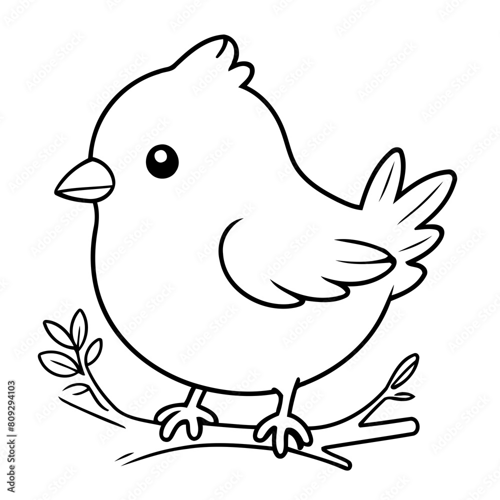 Fototapeta premium Vector illustration of a cute Bird doodle drawing for kids page