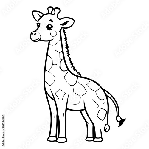 Vector illustration of a cute Giraffe drawing for kids colouring activity