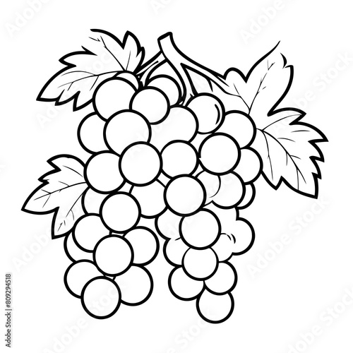 Simple vector illustration of Grapes doodle for toddlers worksheet