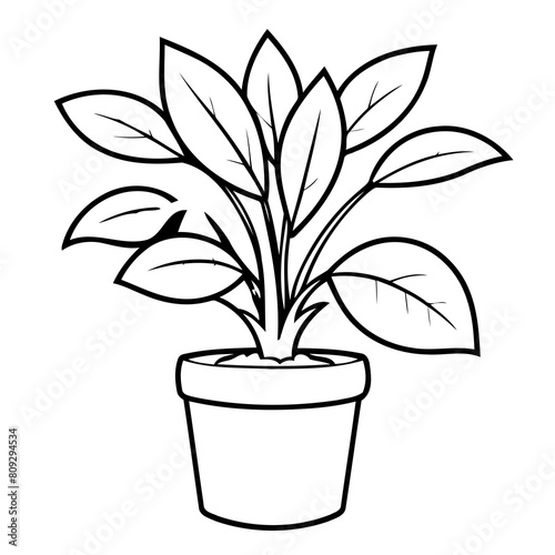 Simple vector illustration of IndoorPlant outline for colouring page