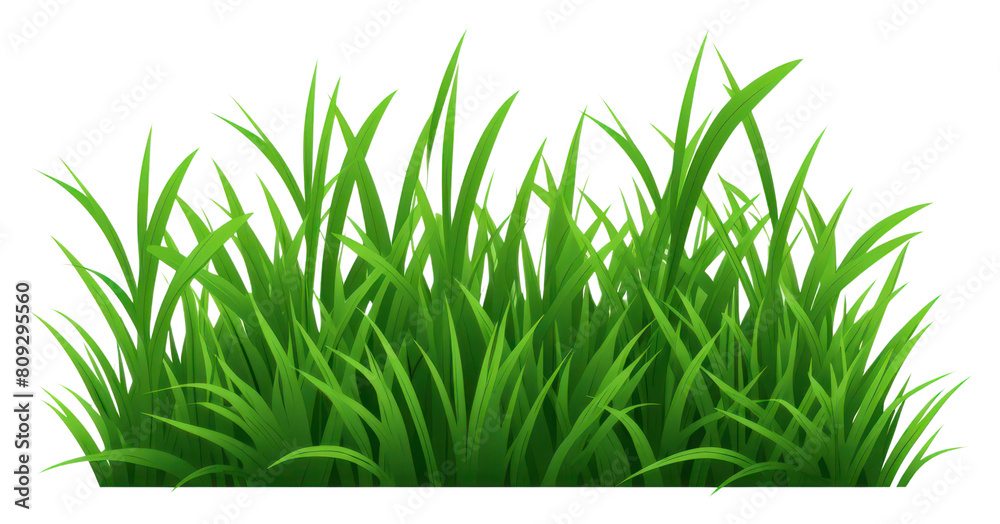 Fototapeta premium PNG Grass green plant lawn