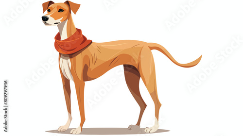 Sighthound or gazehound. Lovely cute hunting dog wi