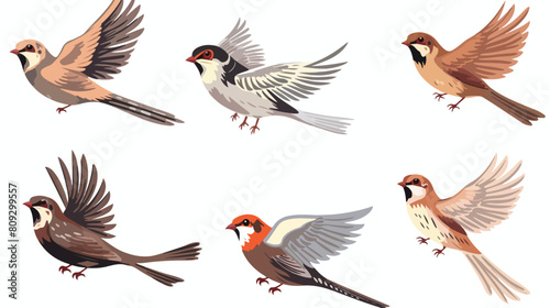 Set with different flying and sitting sparrow. Hand