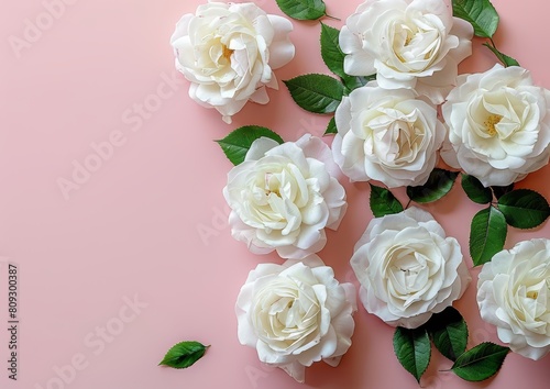Collection of Pink Roses with Green Leaves