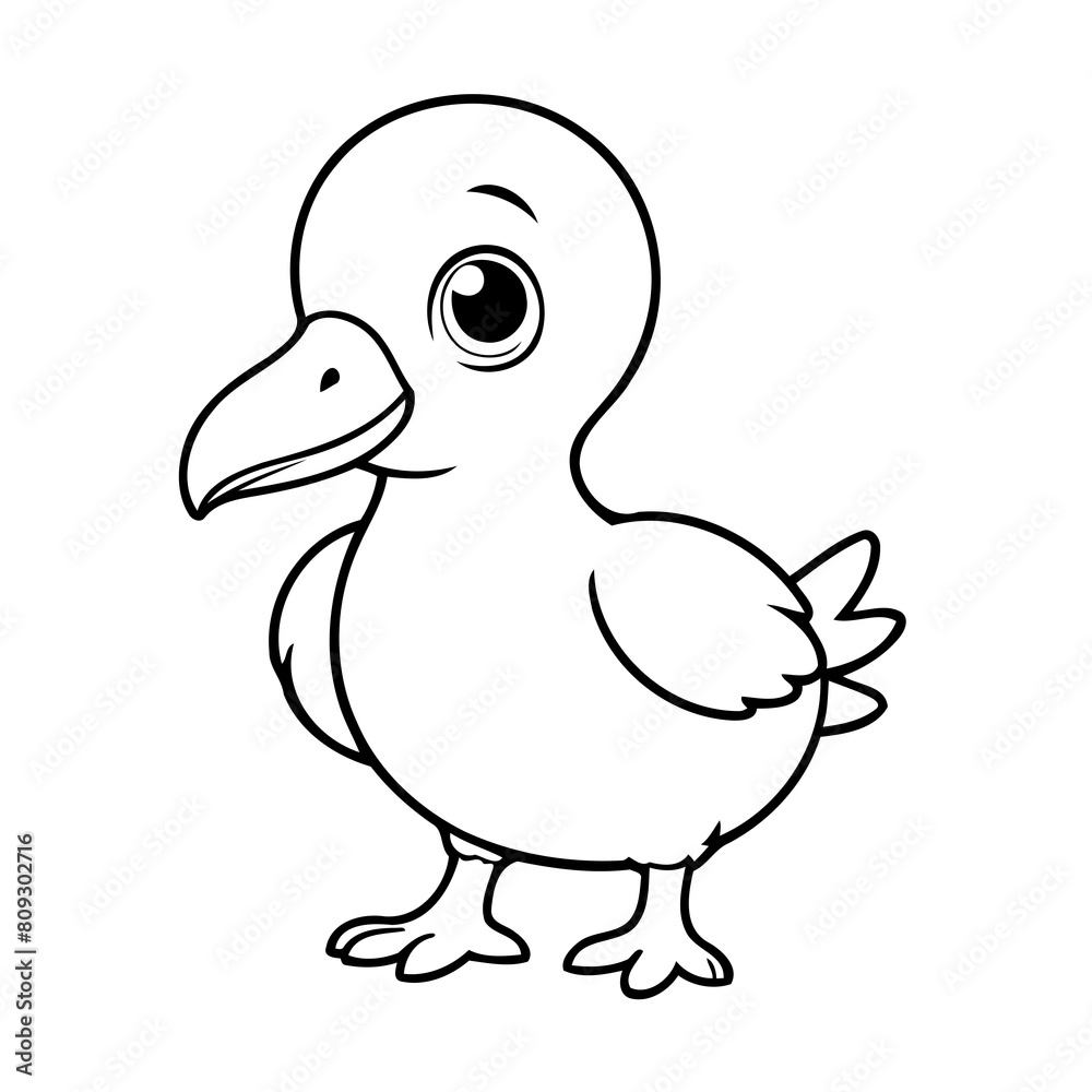 Simple vector illustration of Albatross hand drawn for kids coloring page Simple vector illustration of Albatross hand drawn for kids coloring page