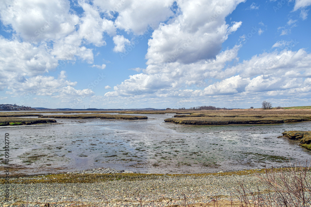 view of the salt marsh located in parker river