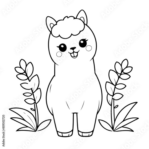 Vector illustration of a cute Alpaca drawing for toddlers book