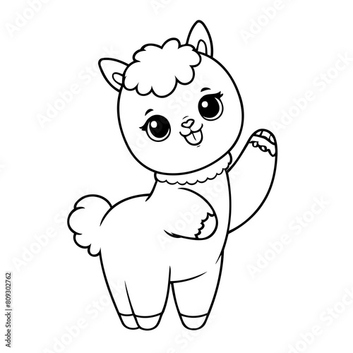 Vector illustration of a cute Alpaca drawing for kids colouring activity