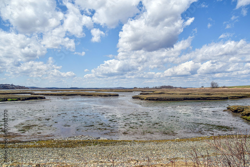 view of the salt marsh located in parker river