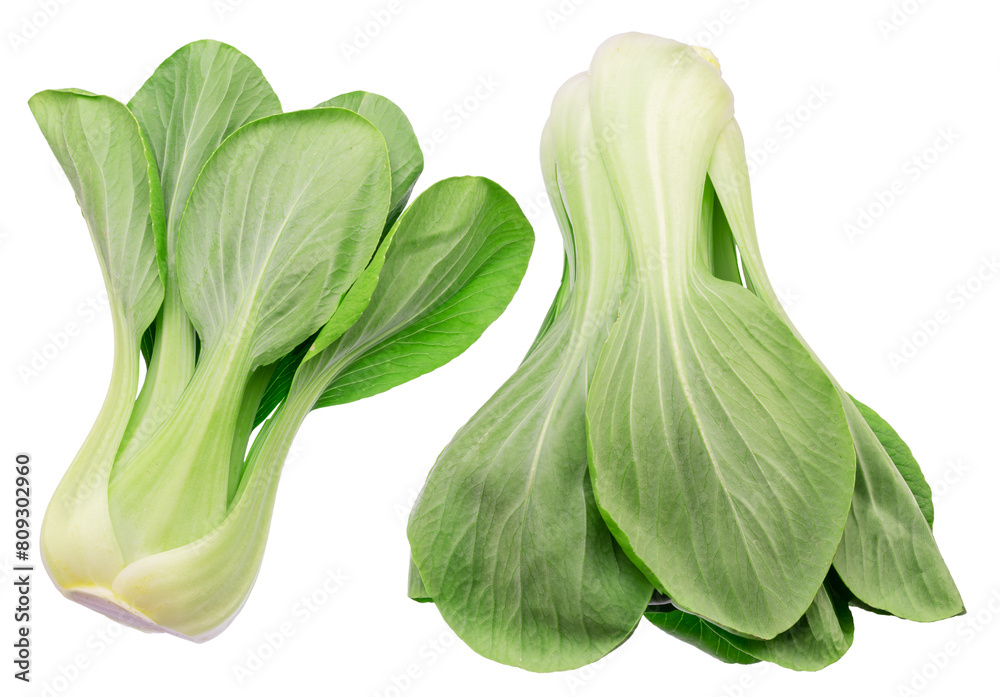 Fresh bok choy or chinese cabbage isolated on white background. File contains clipping paths. Fresh bok choy or chinese cabbage isolated on white background. File contains clipping paths.