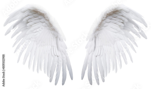 PNG  Pair of white angel wing bird white background archangel.  photo