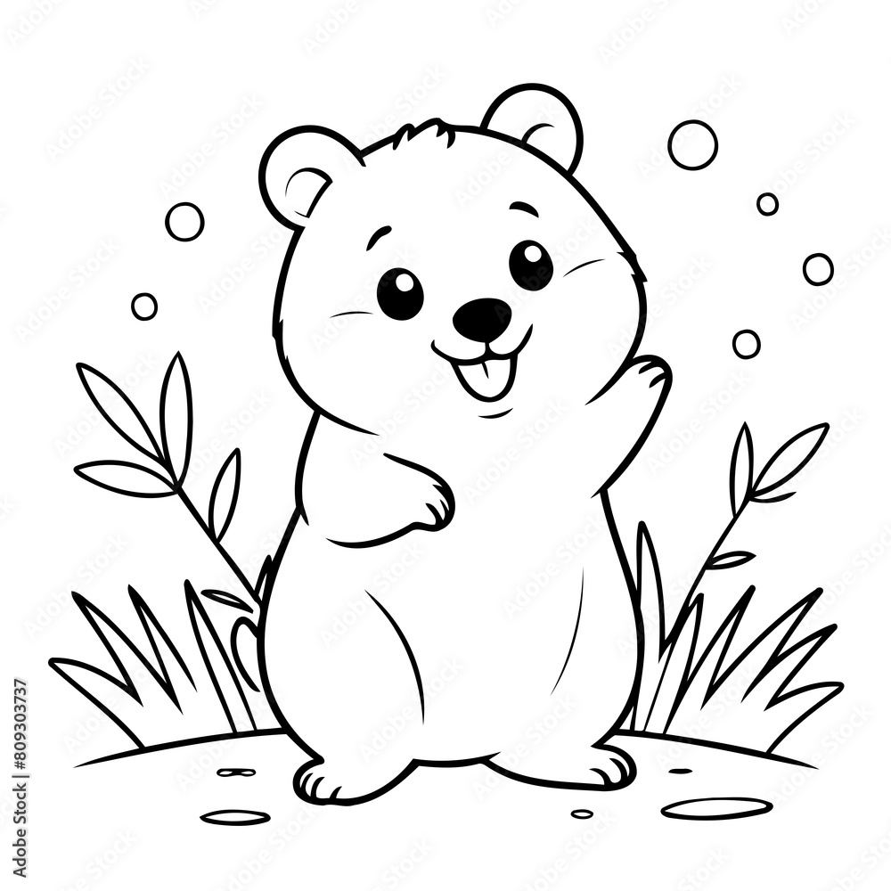 Vector illustration of a cute Quokka drawing for toddlers colouring page Vector illustration of a cute Quokka drawing for toddlers colouring page