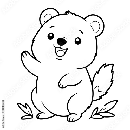 Cute vector illustration Quokka for toddlers colouring page
