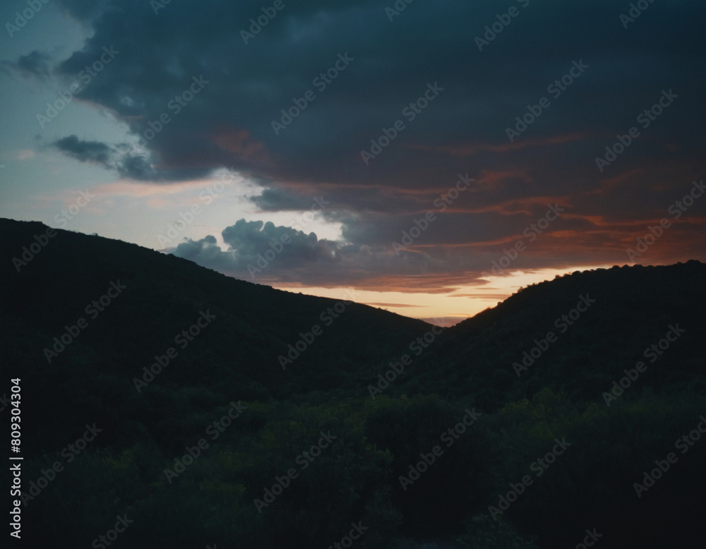 Fototapeta premium sunset over the forest