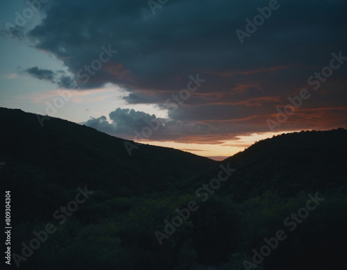 sunset over the forest