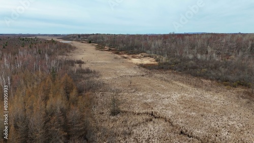 Famous Park near Ottawa called Mer Bleue Bog with swamps and muddy areas beautiful nature of Canada - travel photography by drone