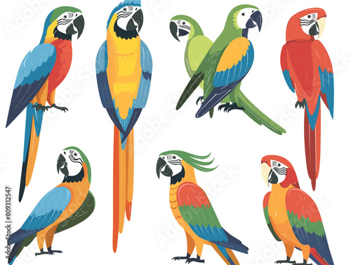 Colorful parrots sitting perches, vibrant feathers, varied poses, cartoon style, tropical birds. Exotic macaws red blue yellow green plumage, wildlife theme, perching illustrations. Bright avian