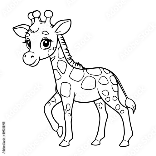 Cute vector illustration Giraffe drawing for kids colouring page