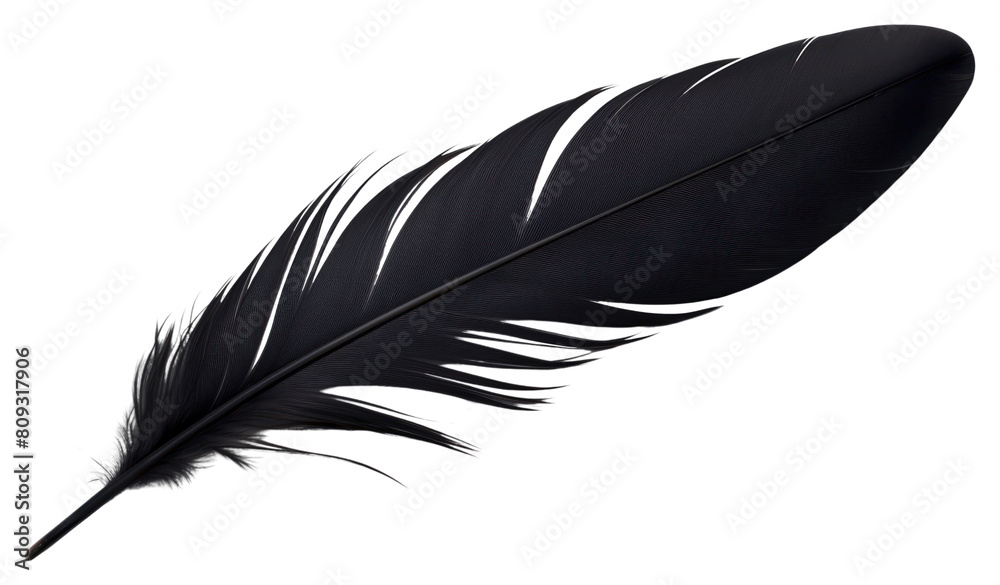 Fototapeta premium PNG Feather white background lightweight fragility.