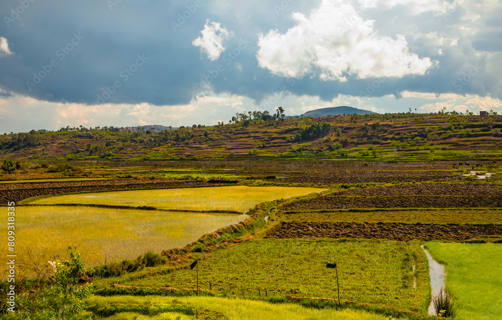 Obraz premium Madagascar life along roads.