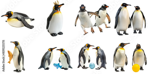 Set of penguin png mockup in 3d without backoground for decoration.