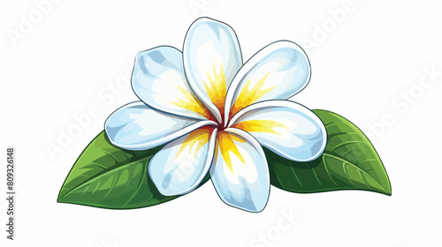 Single plumeria frangipani tropical flower sketch s © Pixel