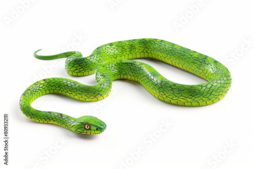 Green wooden snake on isolated white background with neat tail 