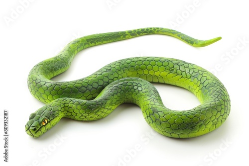 Green wooden snake on isolated white background with neat tail 