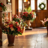 potted flowers placed at the hallway on the sunny day