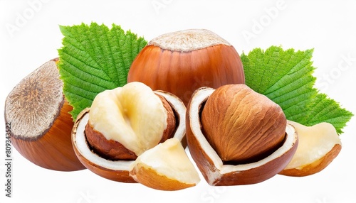 filbert nuts hazelnut with green leaf in png isolated on transparent background photo