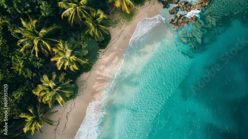 Tropical Paradise: Stunning Aerial View of a Small Beach with Palm Trees