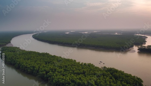 sundarbans mangrove forest river trees sky view