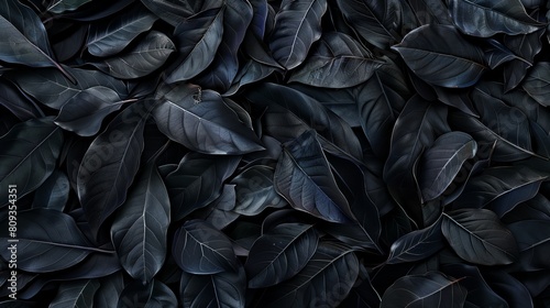 Intriguing Abstract Black Leaves Pattern