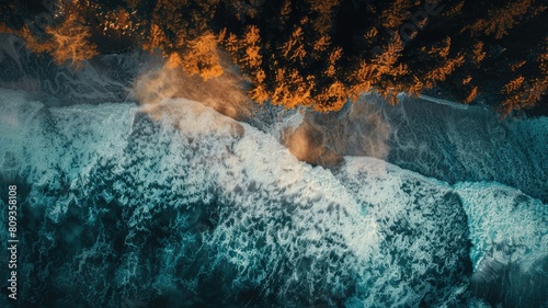 Aerial view of forest and ocean division with contrasting colors