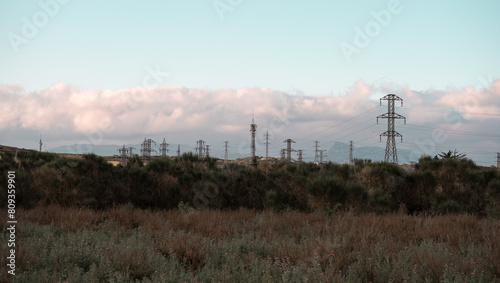 Electricity Pylons in Serene Landscape