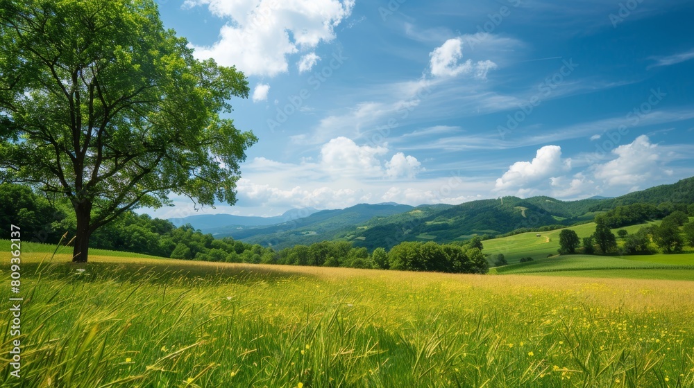 A serene landscape depicting a lush green tree standing prominently in a blooming field with wildflowers under a clear sky, surrounded by distant rolling hills A serene landscape depicting a lush green tree standing prominently in a blooming field with wildflowers under a clear sky, surrounded by distant rolling hills