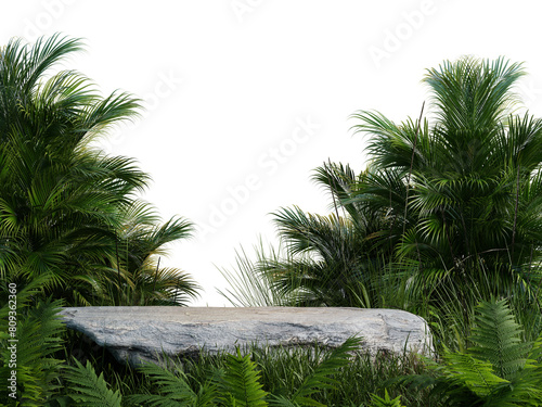 Rock podium in the forest on transparent background.3d rendering