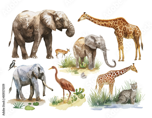 Various wildlife animals watercolor illustration big set. Hand drawn realistic animal collection with names. elephants, giraffe, leopard, deer, bird, flamingo elements. wildlife animal big set