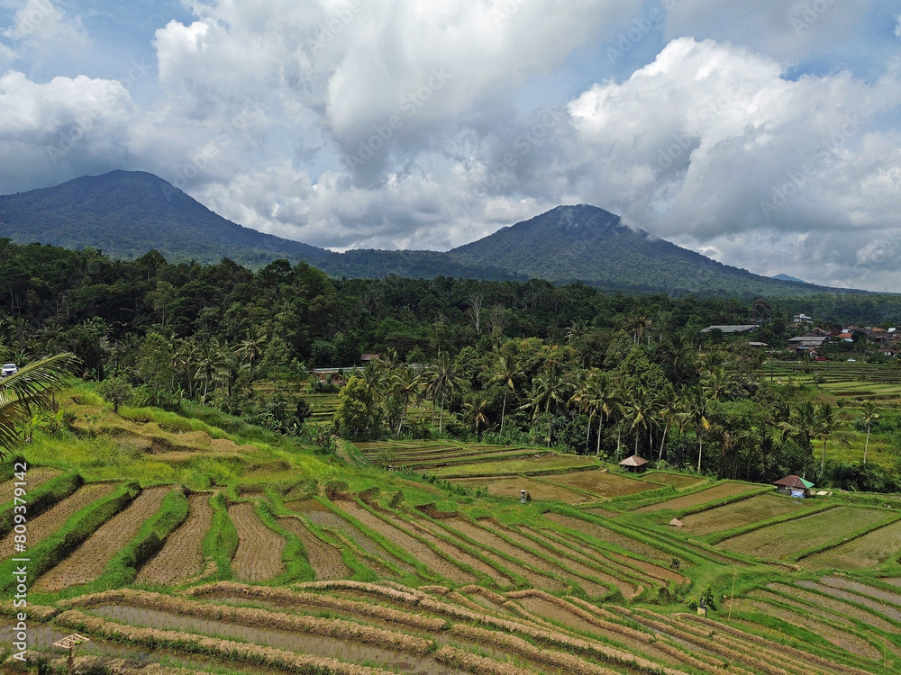 Central Bali landscape - Jatiluwih Rice terraces, Bali, Indonesia Central Bali landscape - Jatiluwih Rice terraces, Bali, Indonesia