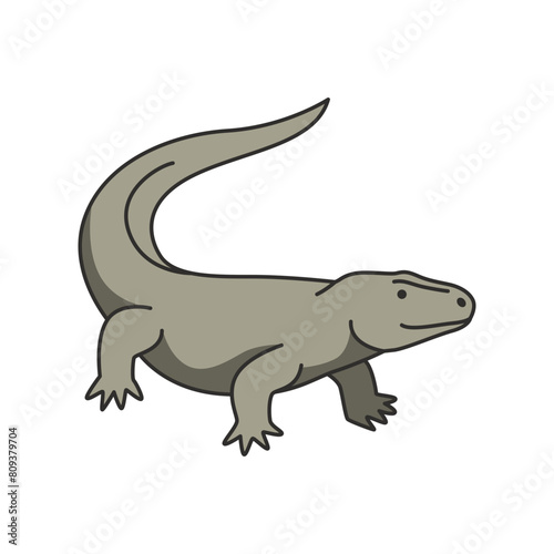 Komodo dragon illustrations