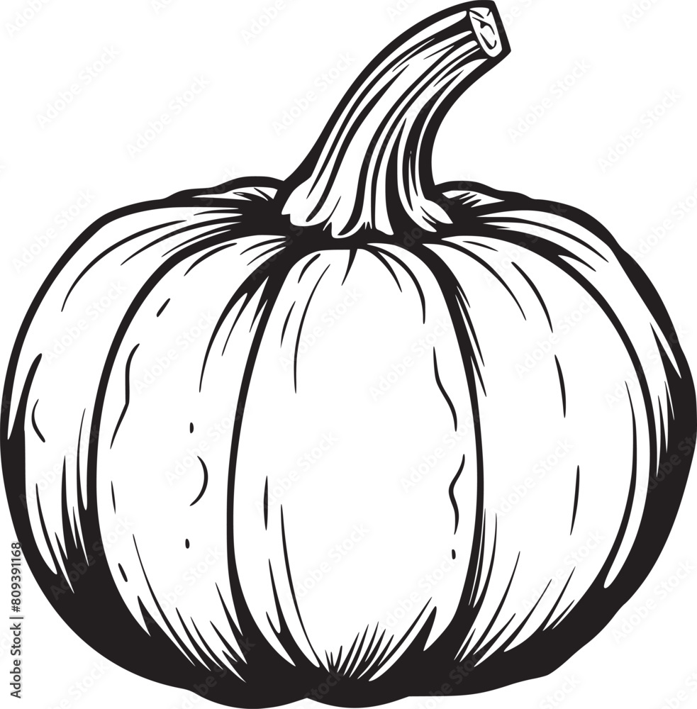 Pumpkin vector black and white Pumpkin vector black and white