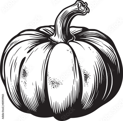 Pumpkin vector black and white