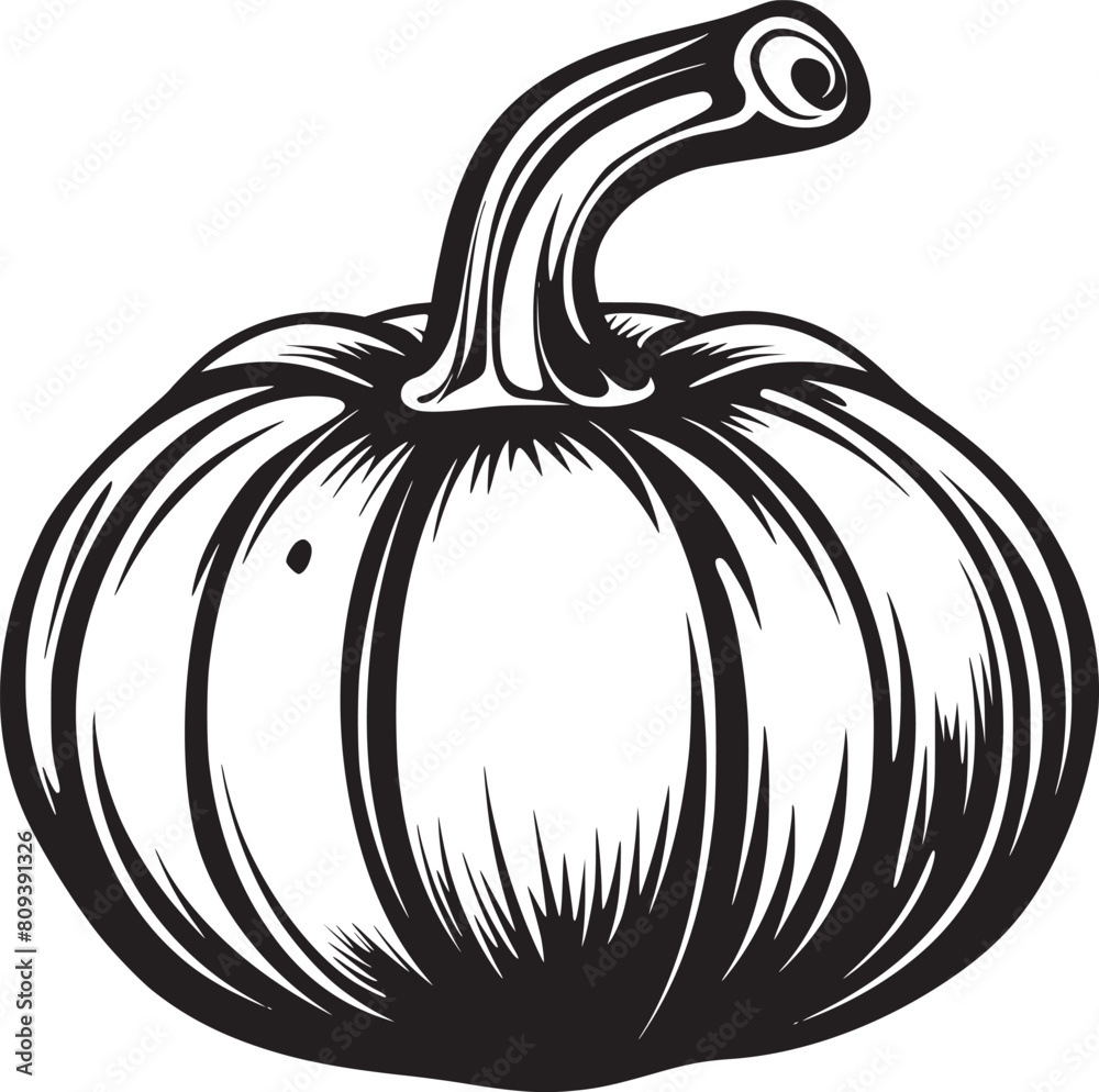 Pumpkin vector black and white Pumpkin vector black and white