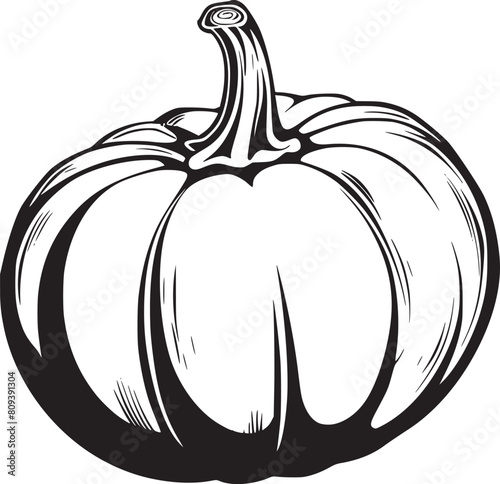 Pumpkin vector black and white