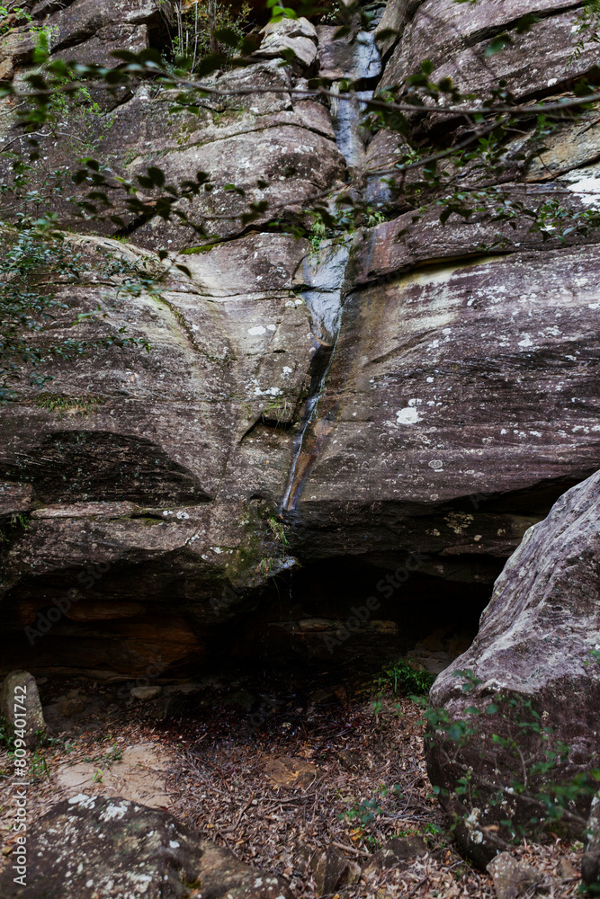 Wollangambe River/Canyon Area, Blue Mountains National Park, New South Wales, Australia Wollangambe River/Canyon Area, Blue Mountains National Park, New South Wales, Australia