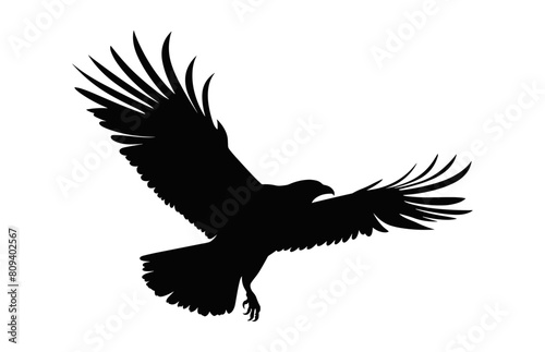Flying Big Bird Silhouette Clip art, A Flying Bird black Silhouette Vector
